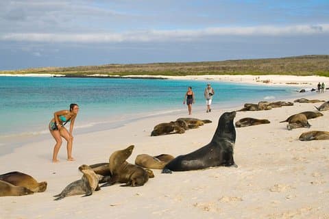 Galapagos Island Hopping Santa Cruz and San Cristobal 5 Days