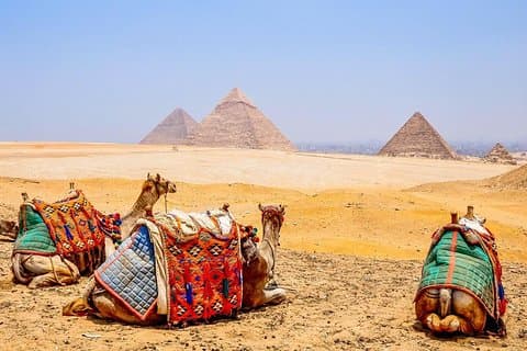 Visit Pyramids, the Sphinx, and Memphis