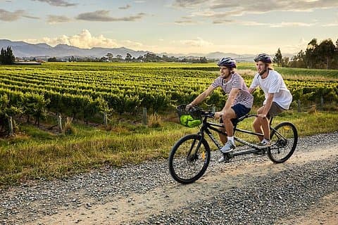 マールボロ地方でのセルフガイドサイクリングワインツアー（終日）。