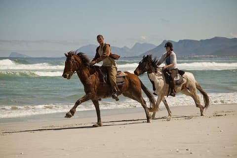 Beach Ride - Stanford