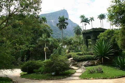 Rio de Janeiro botaniska trädgårdstur
