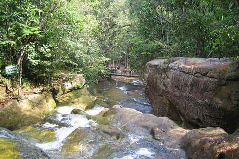 Escursione giornaliera del Presidente Figueiredo Waterfalls da Manaus