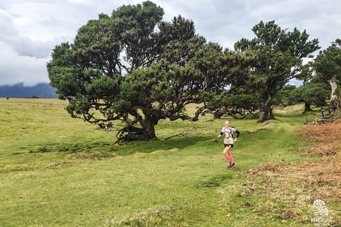 Fanal Ancient Forest Running Tour (lättmåttig)