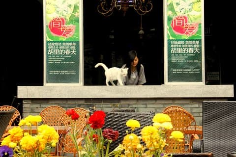 Excursão particular de meio dia à cidade de Chengdu de metrô