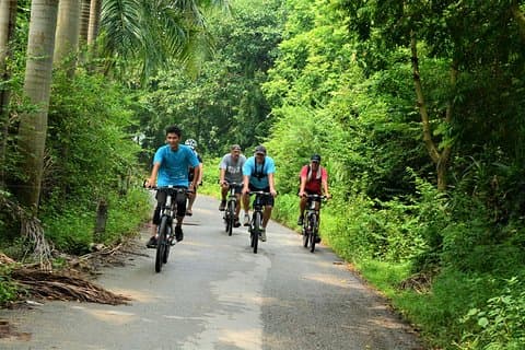 Tours à vélo à Hanoï : circuits à vélo d'une demi-journée dans la campagne de Hanoï