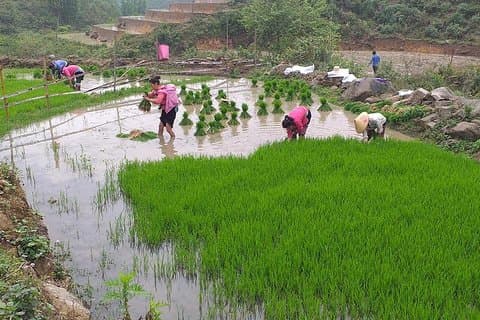 From Sapa: 2-Day Trek Through Authentic Villages in North - Sapa