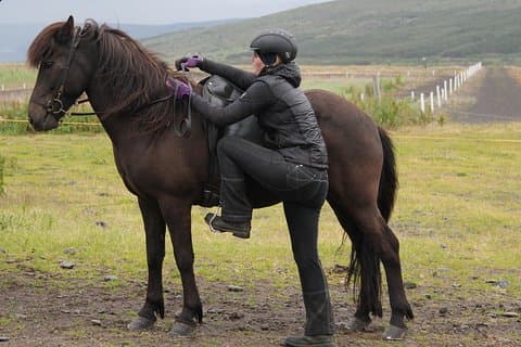 Deacon Horse Riding Tour