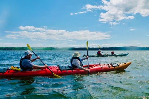 Tour di mezza giornata in kayak sul mare di Quebec City