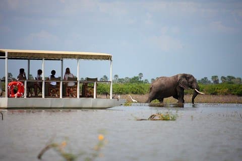 A Day Trip To Selous Fly From Zanzibar