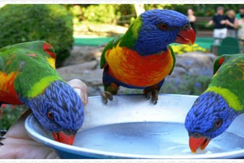 Visite privée du refuge d'oiseaux de Rockland