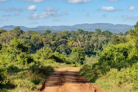 Aberdare National Park - Tour di due giorni