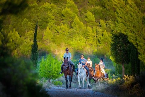 Montar a caballo en la región de Konavle con transporte desde Dubrovnik