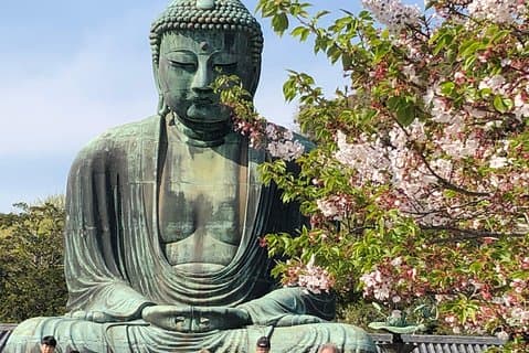 Historisk Kamakura: Templer, Shrines og gatemat Privat vandring