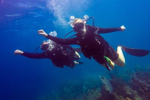 Catalina Island With Scuba Diving - Amazing Full Day Tour Activity