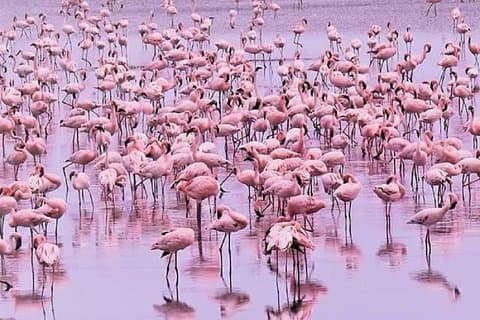 日帰り湖メニーラ
