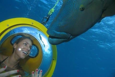 ScubaDoo - Explorez l'océan à Punta Cana