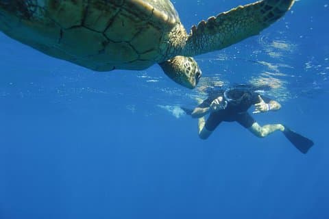 Kauai Ultimate South Island Zodiac Boat Snorkel Adventure