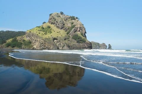 Eco-tour langs de kust en het regenwoud vanuit Auckland met picknicklunch