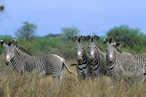 Increadible Meru Special Safari (MINIMUM 2 PAX)