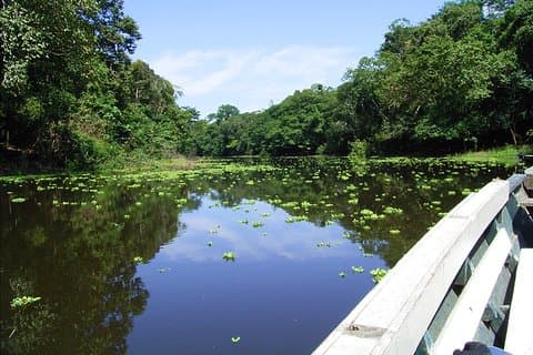4 dager 3 netter - Peruvian Tambopata Jungle
