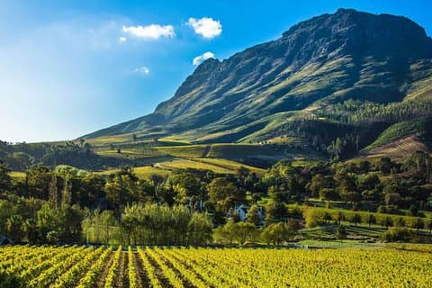 Cape Town 3 Attractions - Cobra Car Experience & Cape Peninsula & Wine Tasting