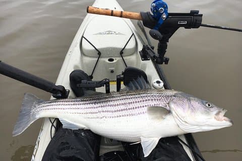 Guided Kayak Fishing Tour