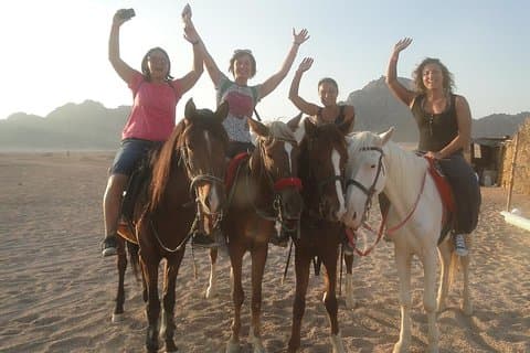 Paardrijden in de woestijn van Sharm el Sheikh