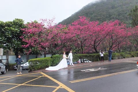 Een dag Yangmingshan NP Beitou Hot Spring Park en Tamsui Tour Package