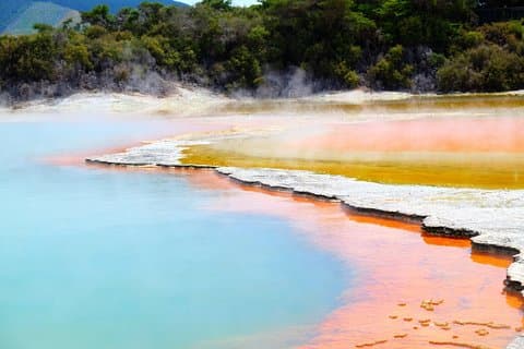 Tauranga Private Tour - Rotorua Geysers & Wai O Tapu Wonderland.