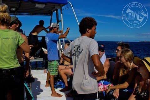 To Tanks Dykking Tour på Catalina Islands & North Island - CR