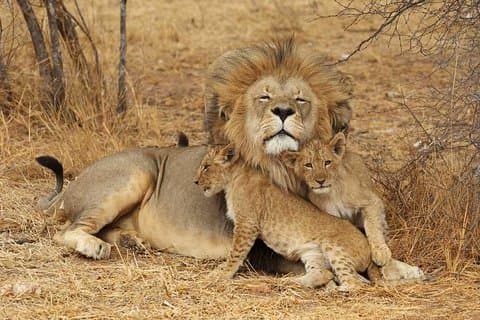 2 Days Tarangire and Ngorongoro Safari from Zanzibar