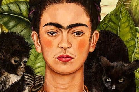Visite de Frida Kahlo avec billets d'entrée