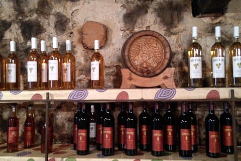 Peljesac halvøen privat vin tur fra Dubrovnik