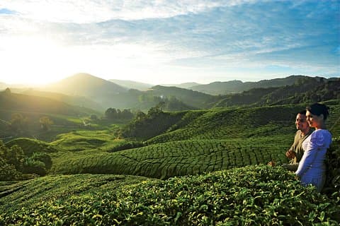 2 dias Cameron Highlands de Kuala Lumpur (retorno a KUL)