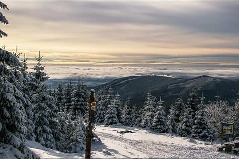 Trasferimento privato da Praga a Spindleruv Mlyn con 2 ore per la visita della città