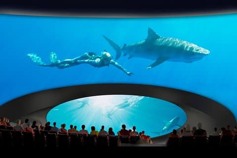 Hopp over billettkøen: Aquarium of the Pacific General Admission Ticket