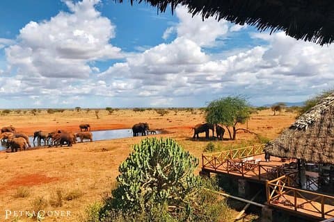 3 Days Tsavo East & Ngutuni Safari ( Minimum 2 persons)
