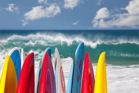 1,5 - Uur Surfles in Santa Monica