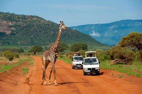 3 dagar Tsavo East & Tsavo West Safari (Minimum 2 Pax)
