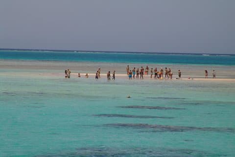 Ras Mohamed med bus fra Sharm elsheikh