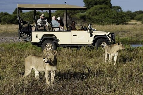 Cape Town Private, den bedste af Big Five Safari Tour