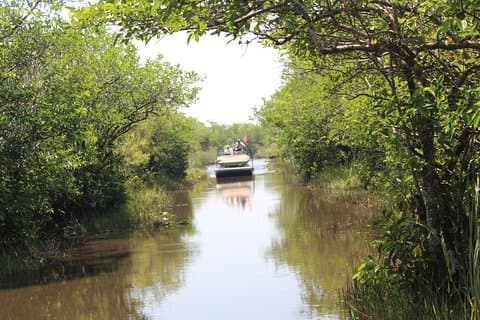 Miami et les Everglades en une journée idéale – petit groupe avec prise en charge