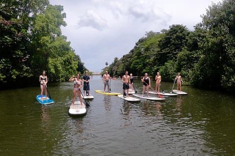 Uniquely Personalized Private Island Tour on Oahu, Hawaii