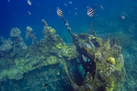 Coron Island Tour B (Private)