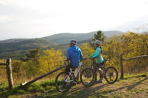 Fruška Gora Bike Tour