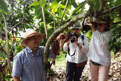 Chocoladetour en tropisch fruit