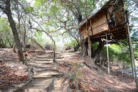 Safari di 3 giorni nel parco nazionale Kruger Lodge / Treehouse