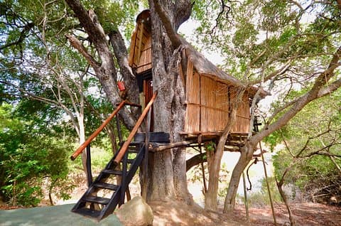 4 giorni Lodge e Treehouse Kruger National Park Safari