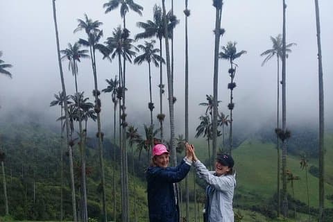 Full-Day Private Coffee Tour in Cocora Valley and Salento