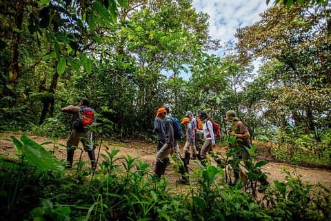 Private Mindo Cloud Forest Tour fra Quito